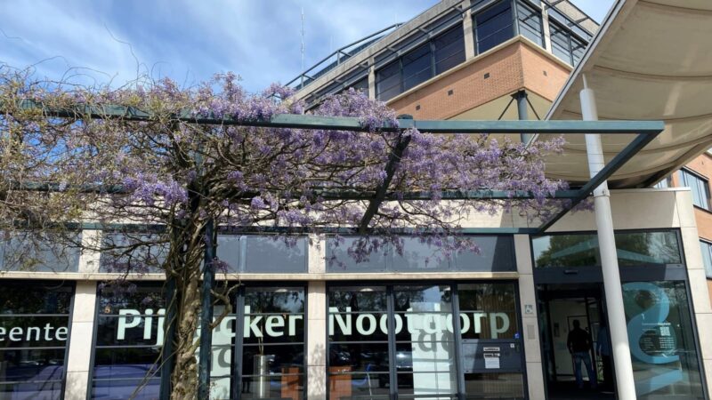 WhatsApp Image 2025-10-07 at 17.03.43